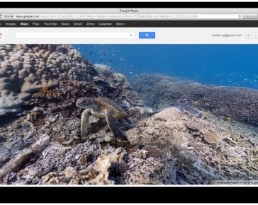 Исследуйте красивейшие океанические рифы мира в Google Maps