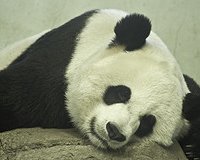 Рекомендации для здорового сна